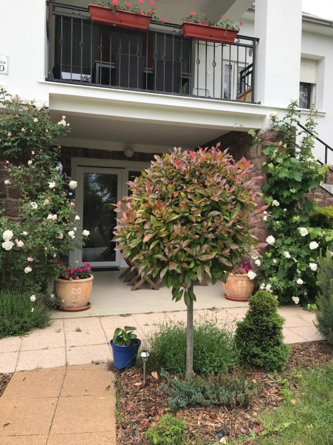 Levendula Apartmanhaz Badacsonytomaj Εξωτερικό φωτογραφία
