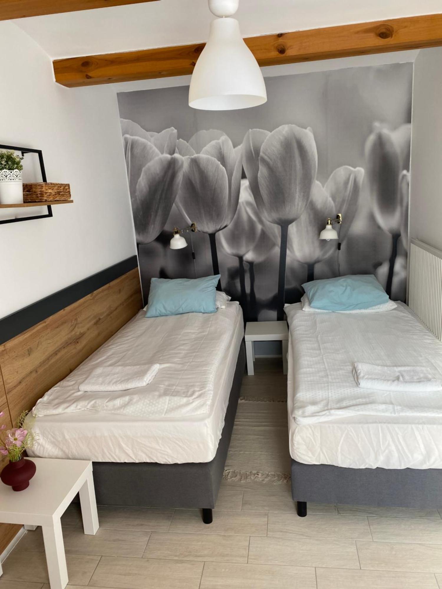 Levendula Apartmanhaz Badacsonytomaj Εξωτερικό φωτογραφία